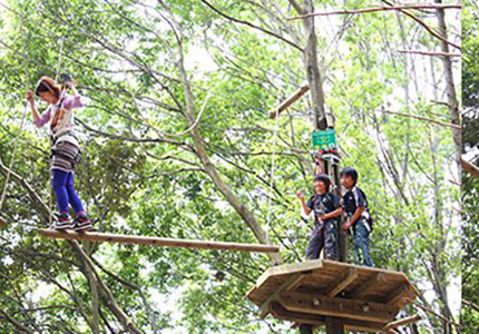 フォレストアドベンチャー・つくば